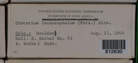 Image Associated With the Occurence